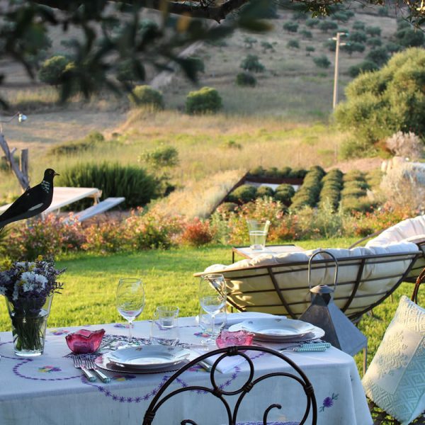 country sea boutique hotel albero capovolto cena privata country sea boutique hotel albero capovolto cena privata